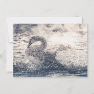 Swan Natuur-fotokaart