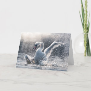 Swan Natuur-fotokaart Kaart
