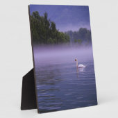 Swan op het meer fotoplaat (Zijkant)