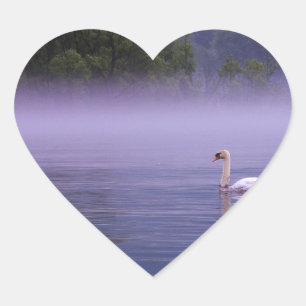 Swan op het meer hart sticker