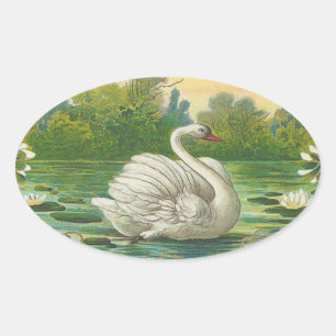 Swan Ovale Sticker