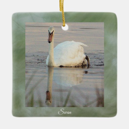 Swan Photo Ornament (Voorkant)