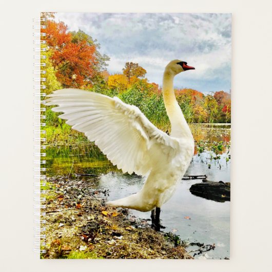 Swan Planner (Voorkant)