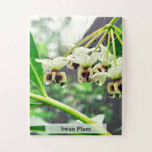 Swan Plant: Monarch’s First Home 30 Pcs Legpuzzel (Verticaal)