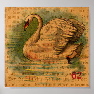 Swan Poster