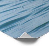 Swan Poster (Hoek)