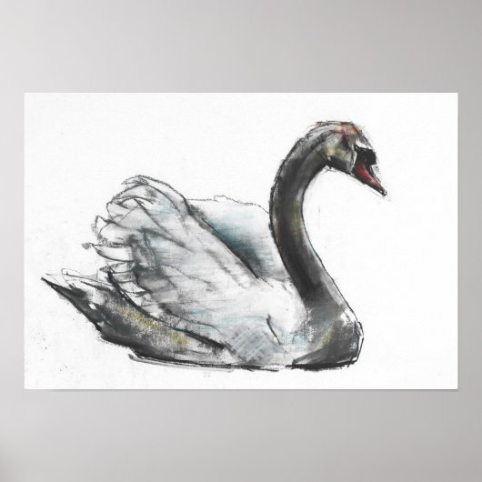 Swan Poster (Voorkant)