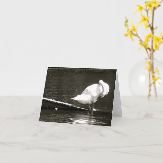 Swan Preening Note Kaart van Brad Hines (Gele Bloem)