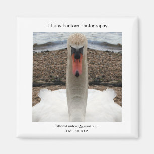 Swan Promo Piece Magneet
