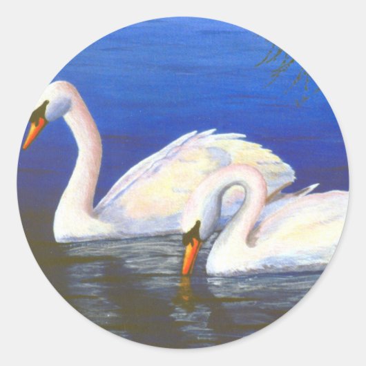 Swan Reflections Sticker (Voorkant)