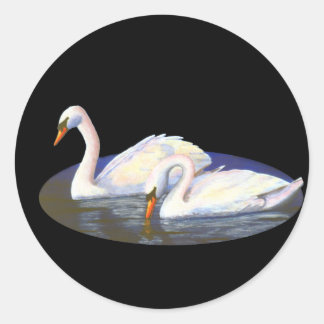 Swan Reflections Sticker