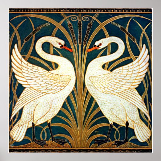 Swan, Rush en Iris,  ontwerp Poster (Voorkant)