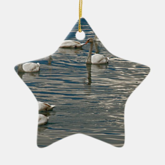 Swan Song Keramisch Ornament (Voorkant)