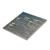 Swan Song Tegeltje (Zijkant)