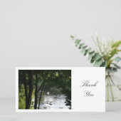 Swan sur une rivière - Merci (Debout devant)