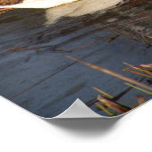 Swan Surveille Son Poster (Coin)