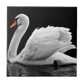 Swan Tegeltje (Voorkant)