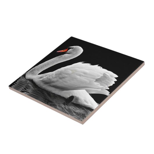 Swan Tegeltje (Zijkant)