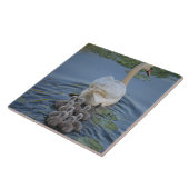 Swan Tegeltje (Zijkant)