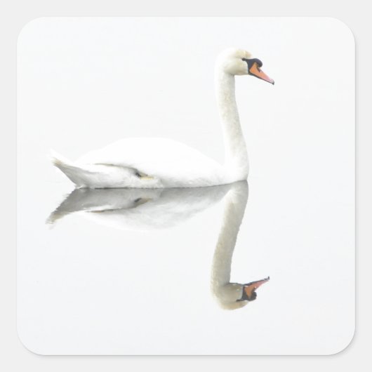 Swan Vierkante Sticker (Voorkant)