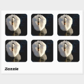 Swan Vierkante Sticker (Vel)