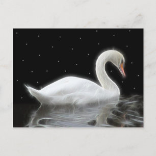 Swan zwemmen 's nachts briefkaart