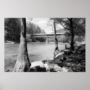 Swann Bridge Poster