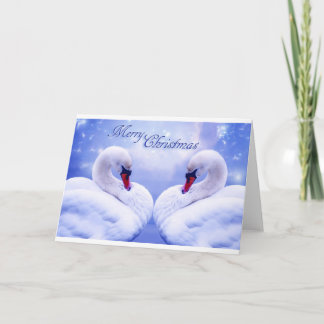 Swans Christmas Card Feestdagen Kaart