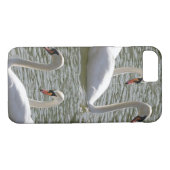 Swans coque iphone (Dos (Horizontal))