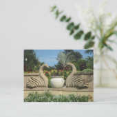 Swans Guarding Hollis Gardens Briefkaart (Staand voorkant)