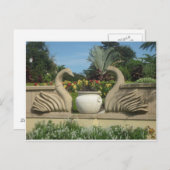 Swans Guarding Hollis Gardens Briefkaart (Voorkant / Achterkant)