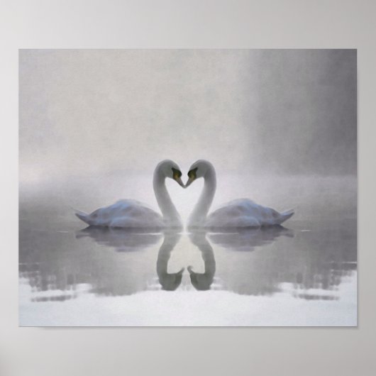 Swans in Love ~ Poster (Devant)