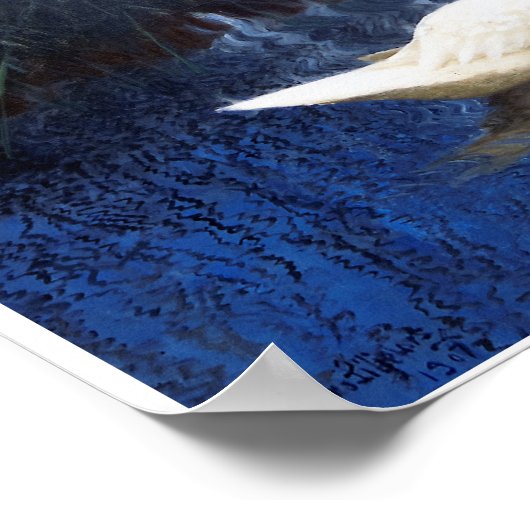 Swans in Reeds, Bruno Liljefors Poster (Hoek)