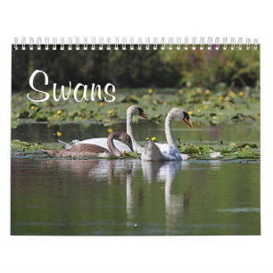 Swans Kalender