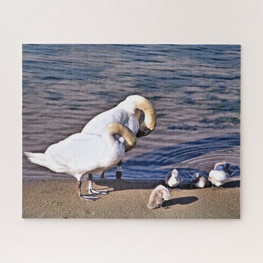 SWANS LEGPUZZEL (Horizontaal)