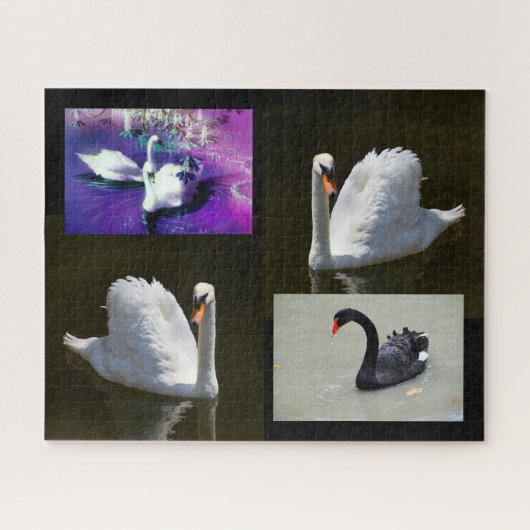 Swans Legpuzzel (Horizontaal)