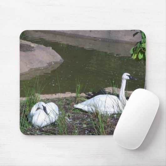 Swans Muismat (Met muis)