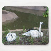 Swans Muismat (Voorkant)