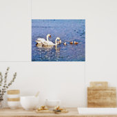 SWANS POSTER (Keuken)