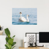 Swans Poster (Thuiskantoor)
