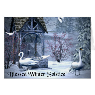 Swans solstice d'hiver