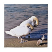 SWANS TEGELTJE (Voorkant)