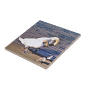 SWANS TEGELTJE (Zijkant)