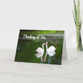 Swans Thinking Kaart (Voorkant)