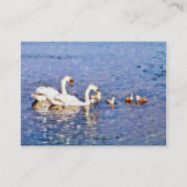 SWANS VISITEKAARTJE (Voorkant)