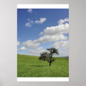 Sway Poster (Voorkant)