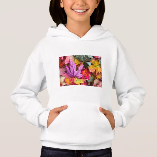sweat - shirt à capuche (Devant)