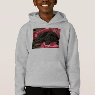 Sweatshirt à capuchon pour chien endormi