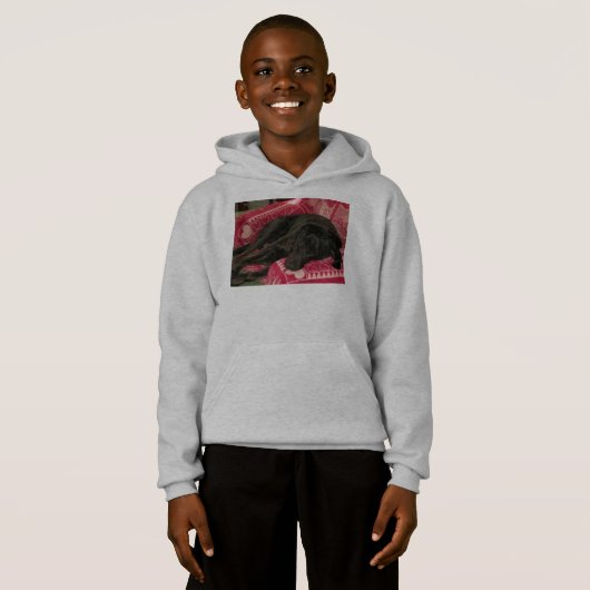 Sweatshirt à capuchon pour chien endormi (Devant entier)