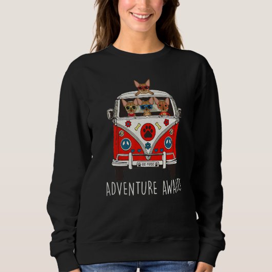Sweatshirt Abyssinian Adventure Attend Artwork Camper (Devant)